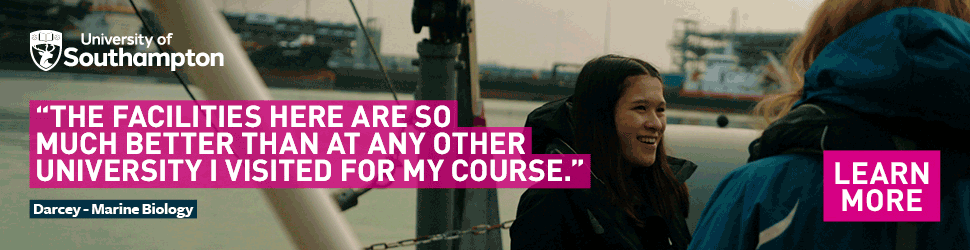 The Cold War Revision World