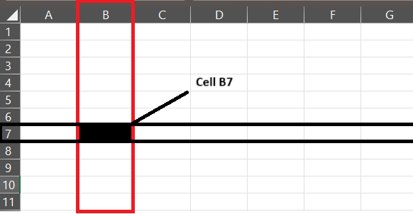 Spreadsheet Cells