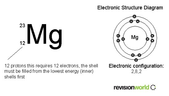 energyshells copy.jpg