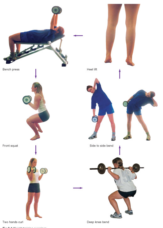 Weight Training Revision World