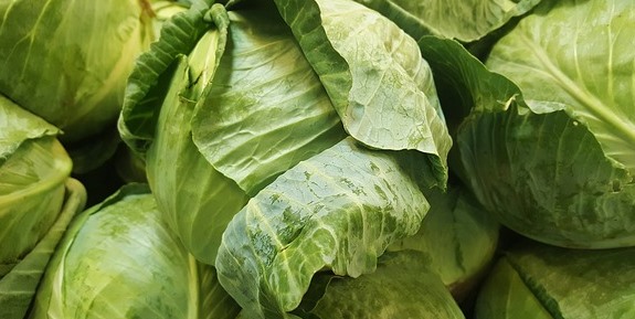 Cabbage contains vitamin B9