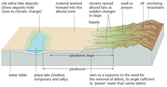 inselberg diagram