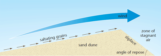 features of examples depositional Wind by  created desert revision, gcse geography,  Desert Features