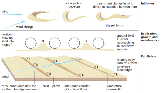 barchan dune diagram