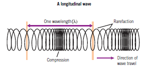 What are the parts of a longitudinal wave?