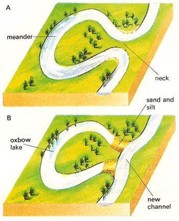 meanders and ox bow lakes