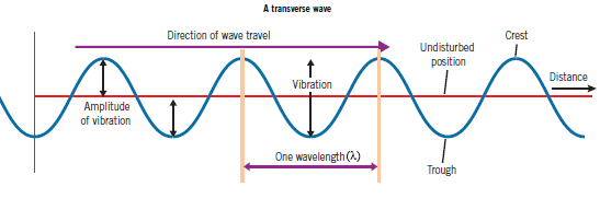 Image result for parts of a sound wave